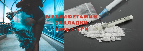 гидра Кущёвская
